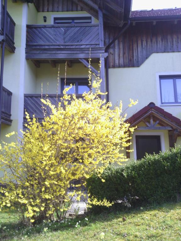 Apartments Grabler Altmünster Екстериор снимка